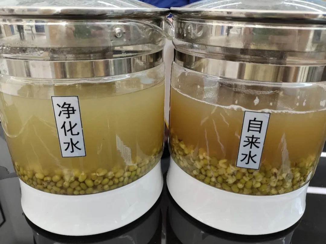 美食淄博 · 科普水知识，《饮水与健康》讲座顺利举行