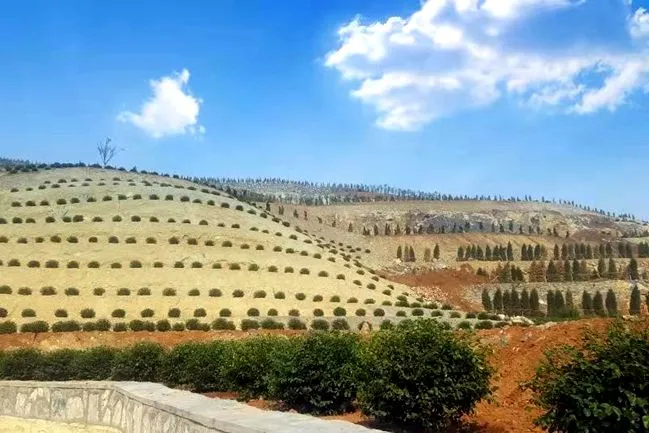 自然资源部、省自然资源厅点赞！淄博提前实现绿色矿山建设全覆盖！