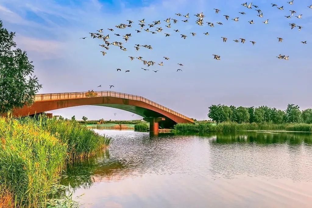 淄博这处“南国风韵 ”湿地，美到“勾魂”，你来过吗？