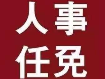 【官方发布】淄博最新人事任免！