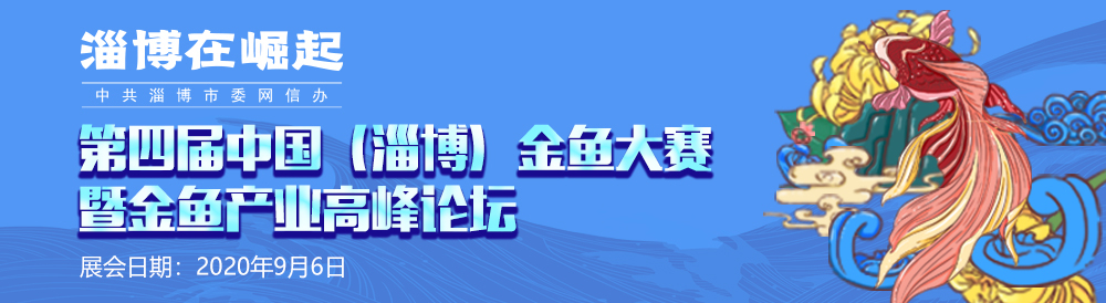第四届中国（淄博）金鱼大赛决赛获奖名单公布