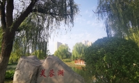 明天正式开放！淄博莲池公园9月28日盛装开园