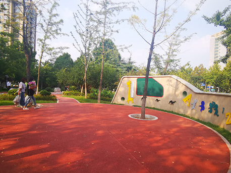带状公园网络形成 淄博中心城区道路绿化提升工程景观效果初见成效