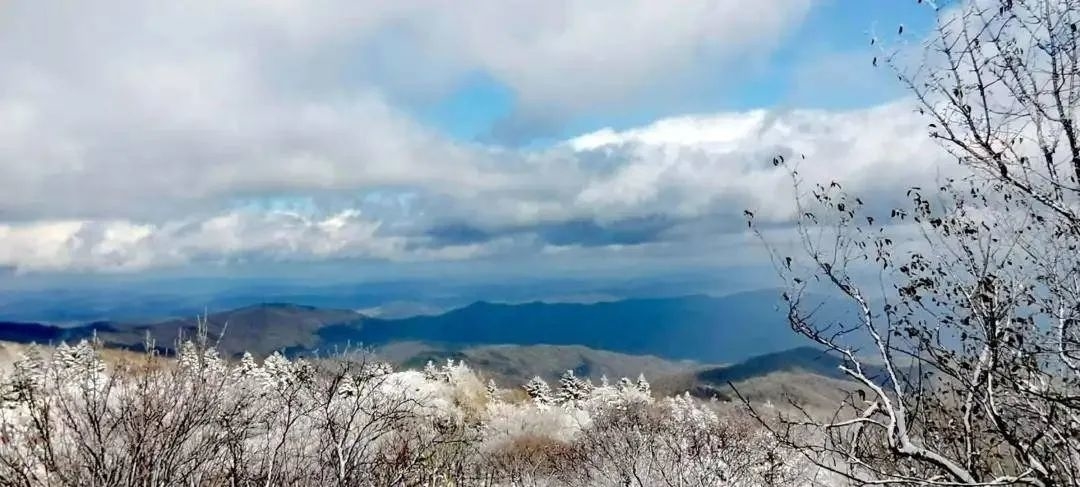 多地开启雪景模式！未来几天，淄博天气...