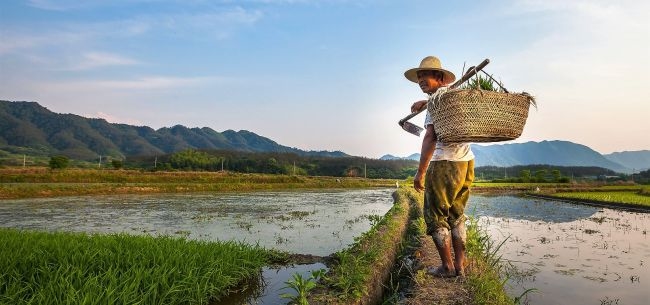 政研院 拉动内需的潜力所在：每年有1000万人进入城市