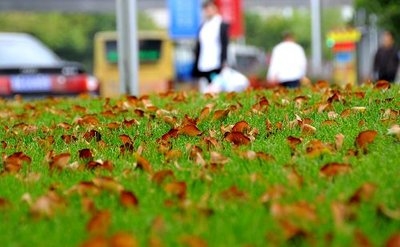 冷冷冷！昼夜温差13℃，未来几天淄博最低温跌至...