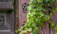 淄博这条老街私藏了过往的繁华与故事，一般人都不知道！