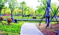 期待！淄博中心城区4处游园要提升改造！