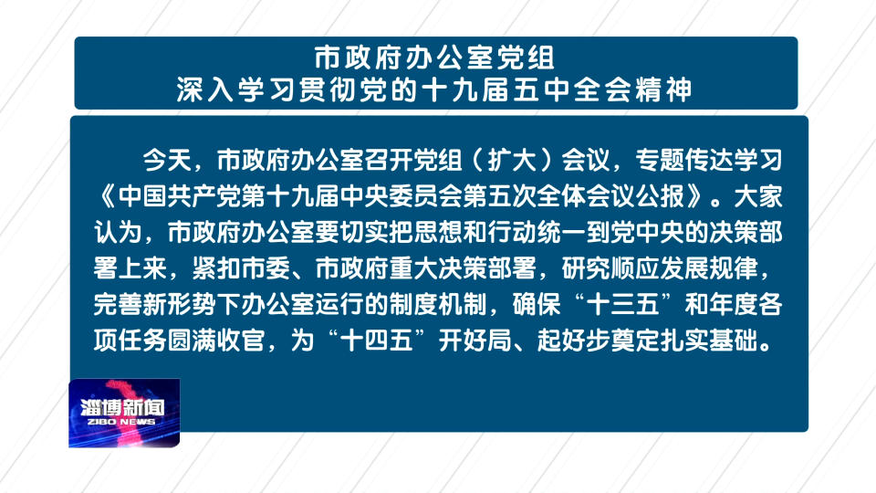 市政府办公室党组深入学习贯彻党的十九届五中全会精神