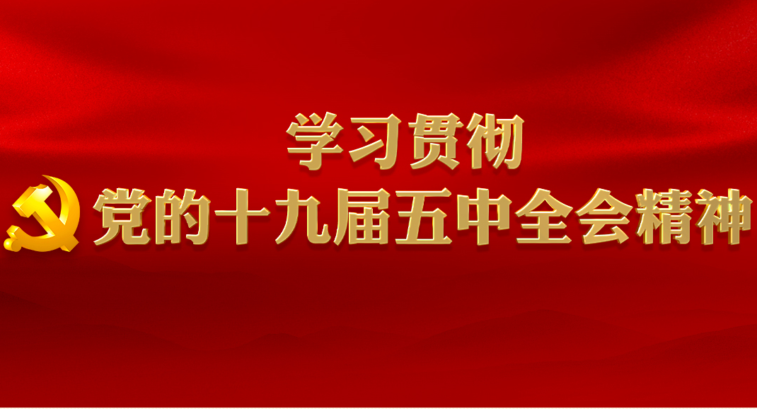 新华社评论员：构建新发展格局 实现高质量发展——学习贯彻党的十九届五中全会精神