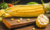 玉米是个「宝」，教你三种玉米吃法，秋冬季节健脾胃，便秘少，暖胃又暖心