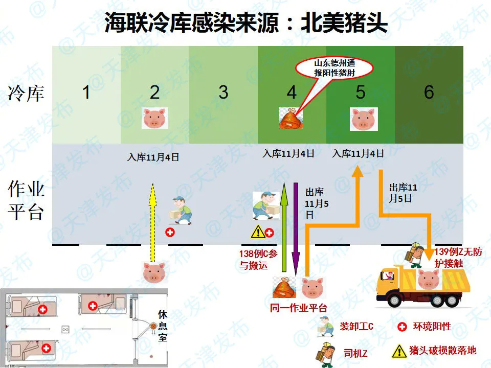 天津海联冷库感染来源：北美猪头！