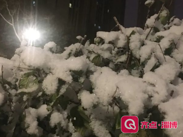 ​降温降雪“啪”一下就来了，很快啊！淄博天气不讲“武德”！