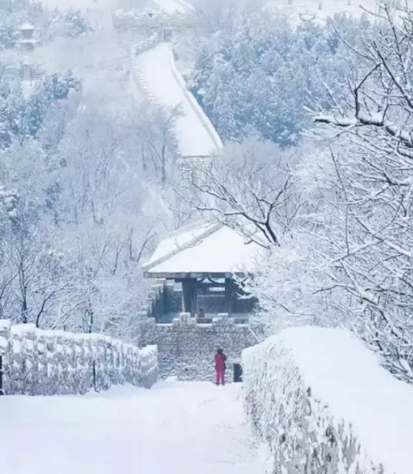 【淄博生态文化游】无雪不成冬，带你看原山最美的雪景