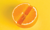 美食淄博·橙子功效与作用是什么？冬季吃有预防冠心病的效果？