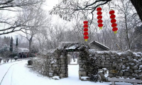 一下雪，淄博这座古城就美成了人间天堂