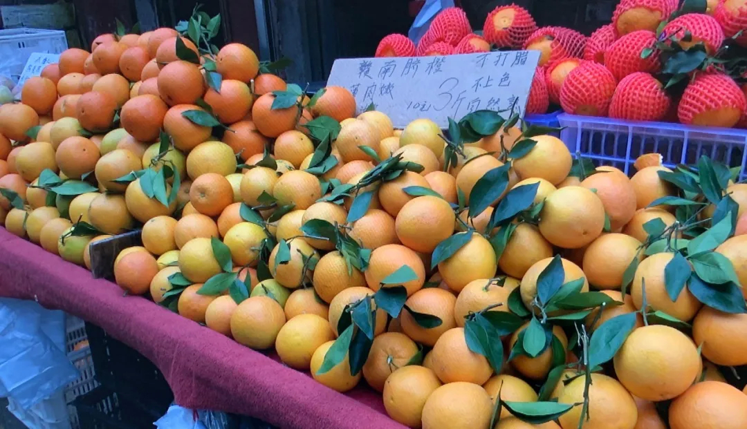 美食淄博 · 橙子上市种类多，怎样吃的更健康？