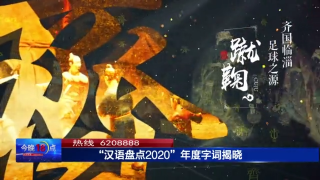 汉语盘点2020 ， 这些有你知道的吗？