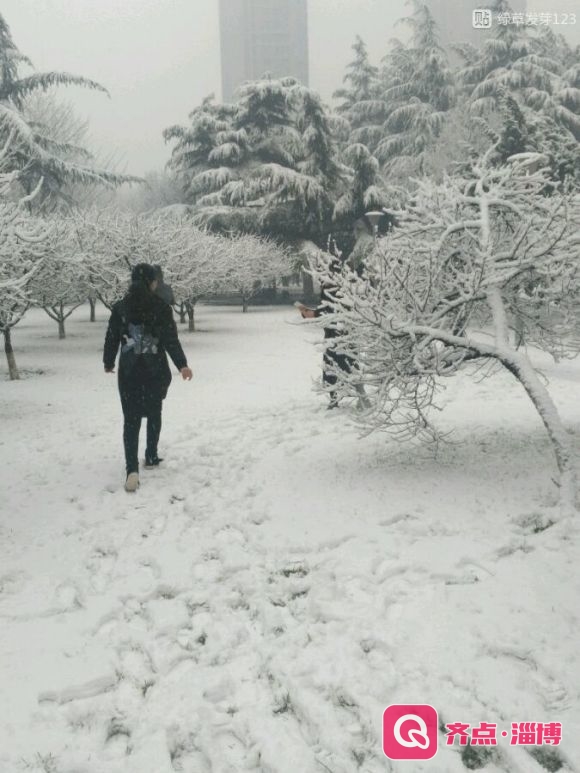 淄博这次大雪，降水最大点在……