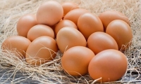 美食淄博·鸡蛋价格亲民营养丰富，但请注意3点