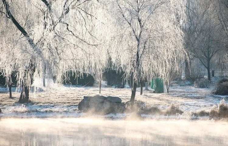 旅游天下 · 是仙境吧！淄博绝美雾凇已上线~