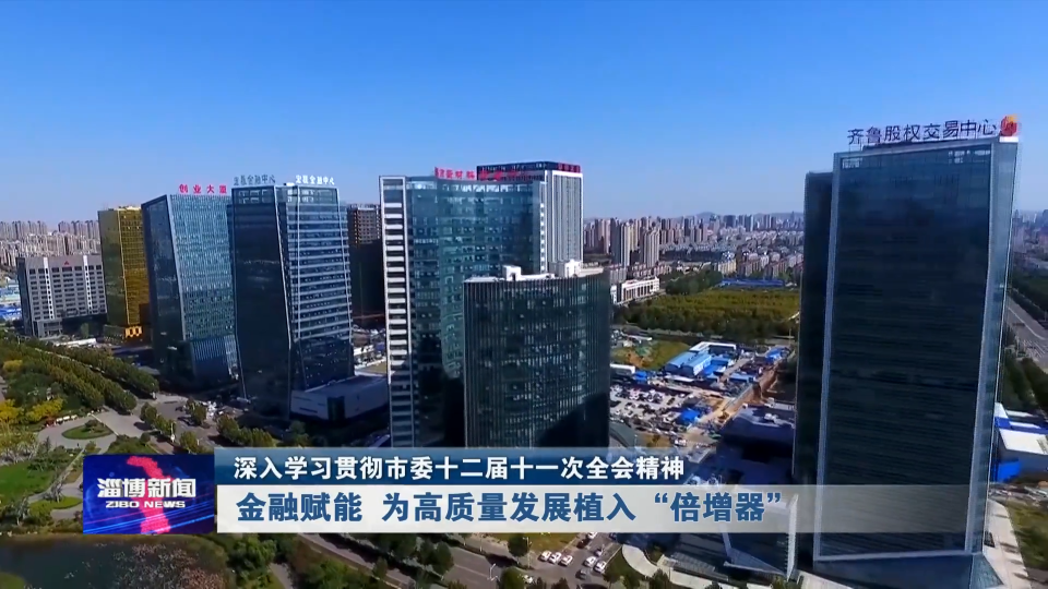 【深入学习贯彻市委十二届十一次全会精神】金融赋能 为高质量发展植入“倍增器”