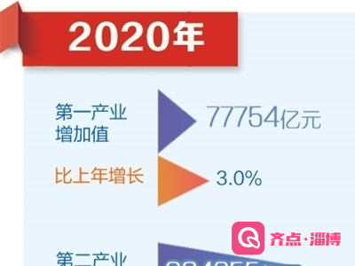 经济持续稳定恢复 综合国力不断增强——国家统计局相关负责人解读2020年主要经济数据（上）