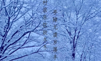 旅游天下 · 在冬日的暖阳里，把淄博这片“桃源”装进唐诗宋词里……