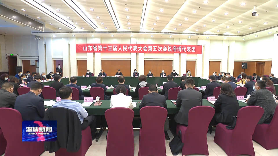 省十三届人大五次会议淄博代表团成立