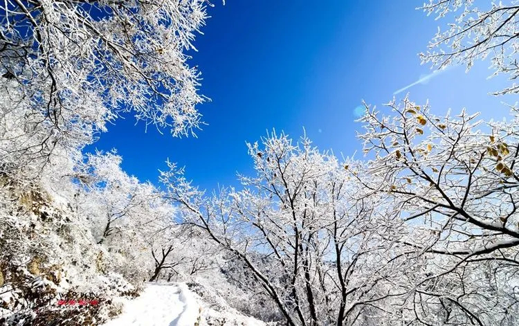 “淄”在过年 | 美景刷爆了！淄博这些冬日打卡地要火了！不去拍照太可惜！