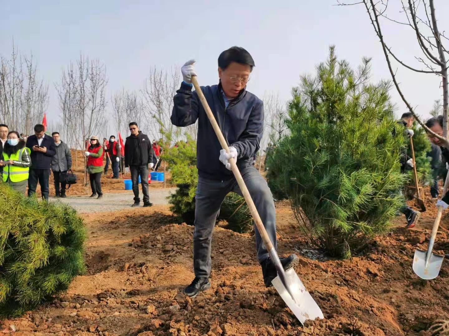 快讯 | 江敦涛等市领导参加义务植树活动