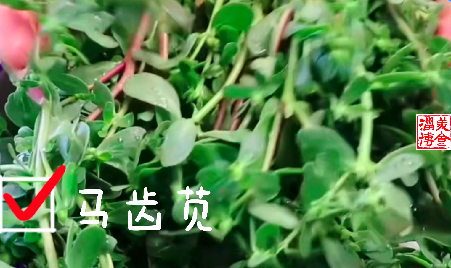 美食淄博·原来我们吃的“蚂蚱菜”学名叫……（视频）