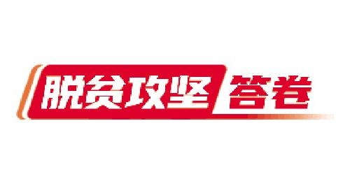 脱贫攻坚答卷|一人种葡萄带动全村致富，昔日涝洼地变身全国文明村