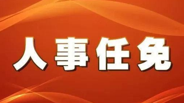 最新消息！淄博市人大常委会发布任免名单