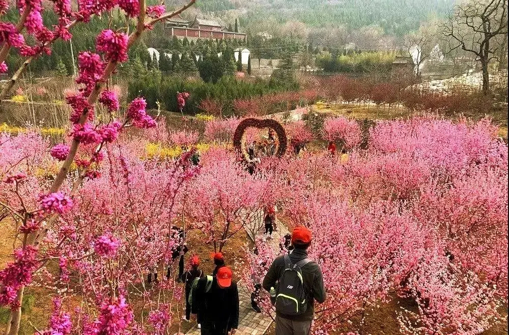 旅游天下 · 开元溶洞梅花节，快来赏花！