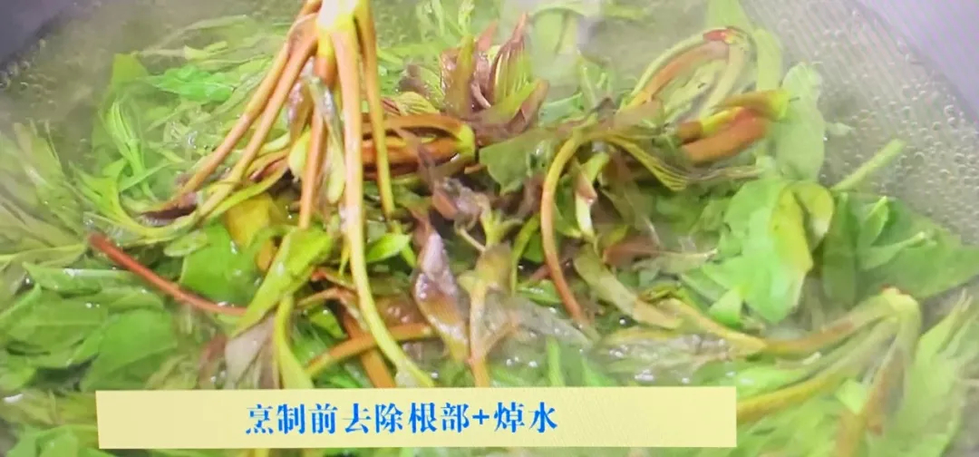 美食淄博 · 雨前香椿嫩如丝·如何储存教给您