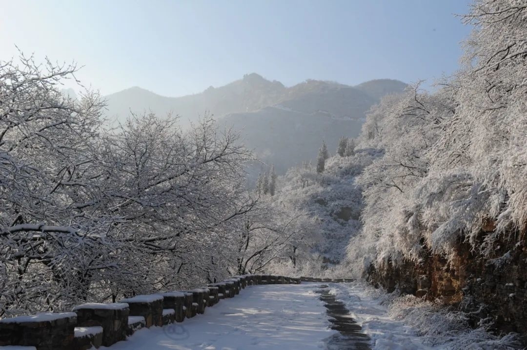 旅游天下 · 赏花、赏景、赏四时之美，研学游也有别样精彩