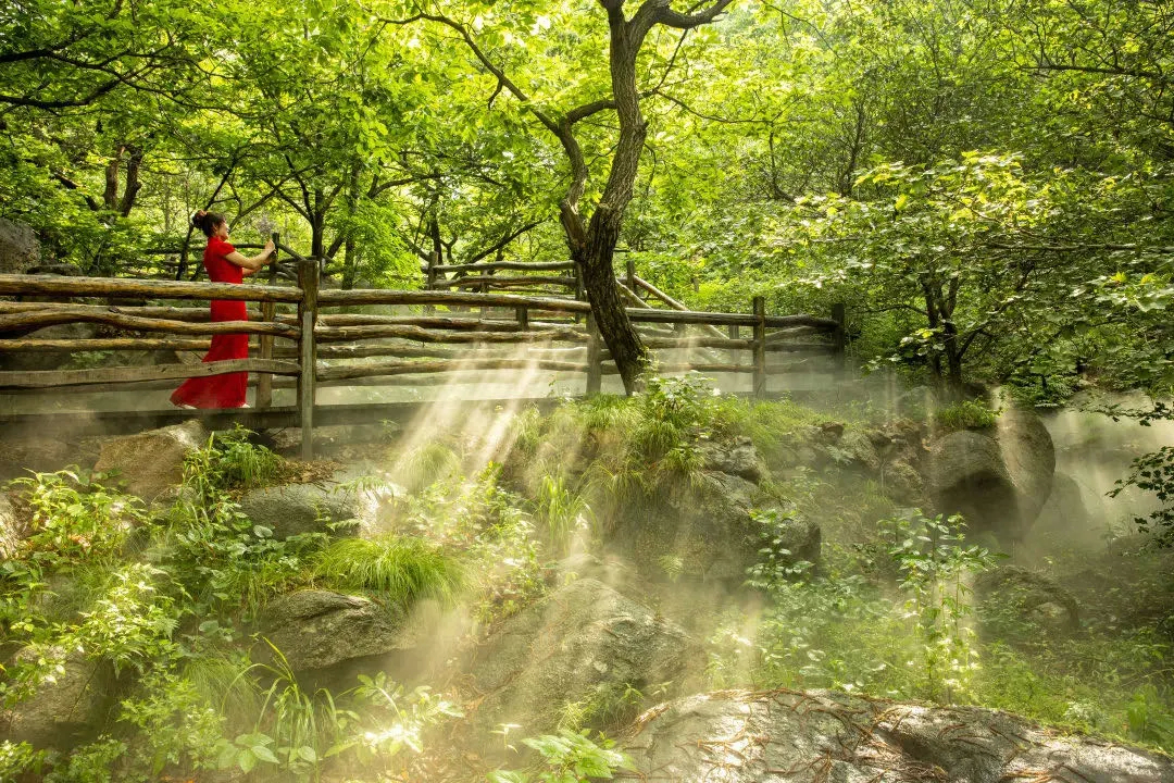 【文旅资讯】五一浪漫启程 淄博文旅盛宴等你来