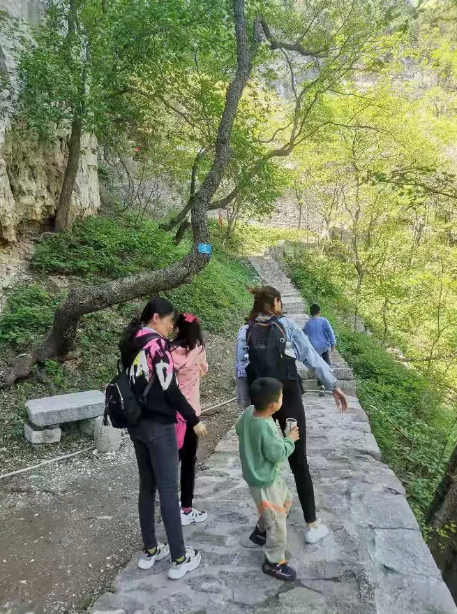 【原山旅游】原山国家森林公园精心策划惠民旅游，引爆“五一”假日！