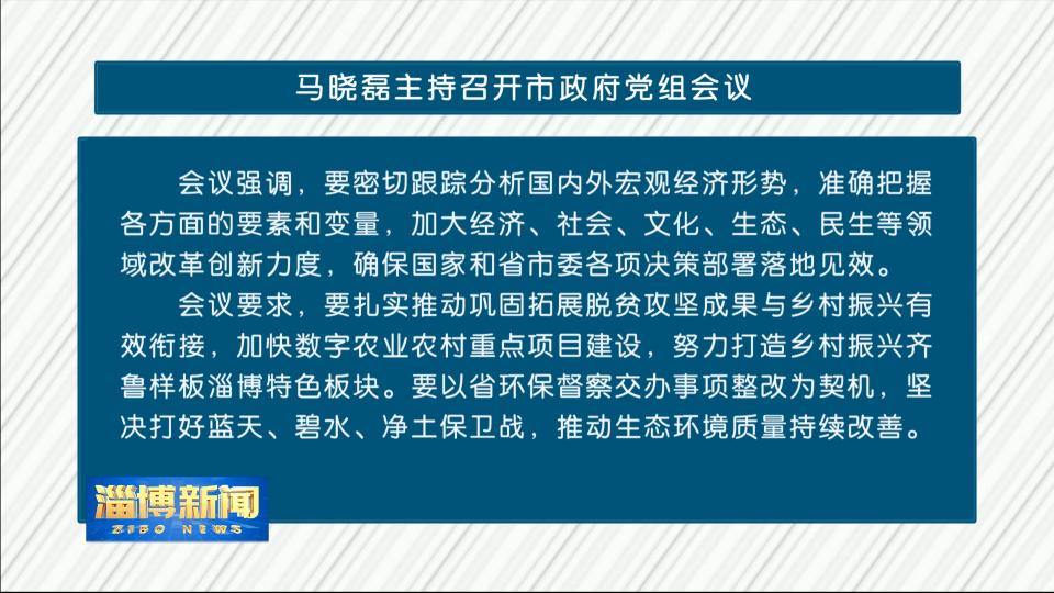 马晓磊主持召开市政府党组会议