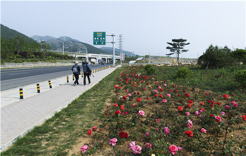 博山区交通运输局
实施高速路域整治助推博山区创建＂全域公园城市＂