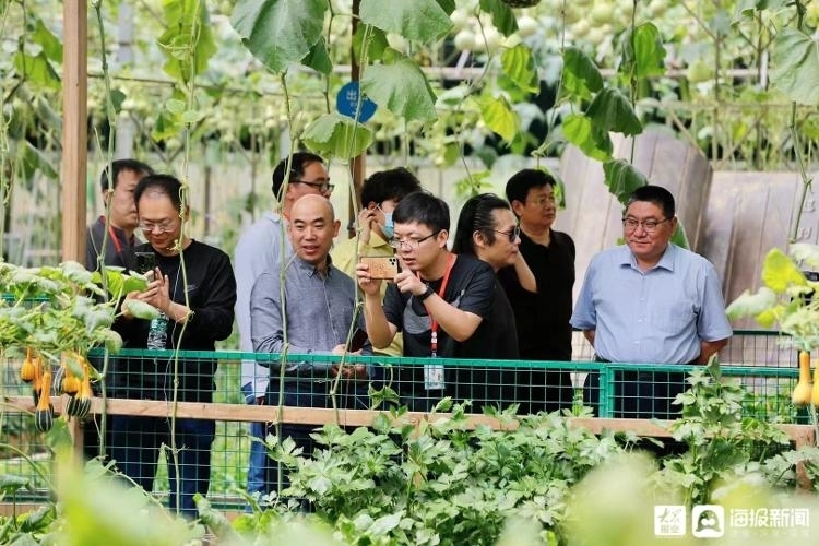 【追寻建党百年足迹 网络名人山东行】走近潍坊 见证“中国菜都”的发展与担当