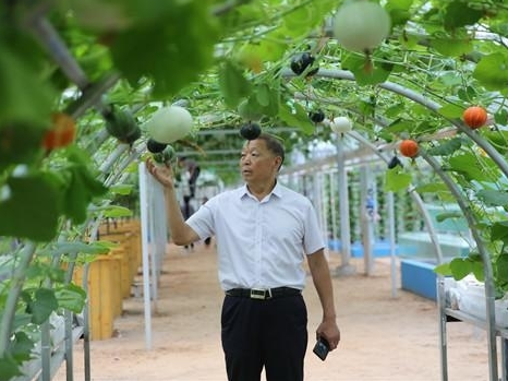 美丽乡村建设的“宋家样本”