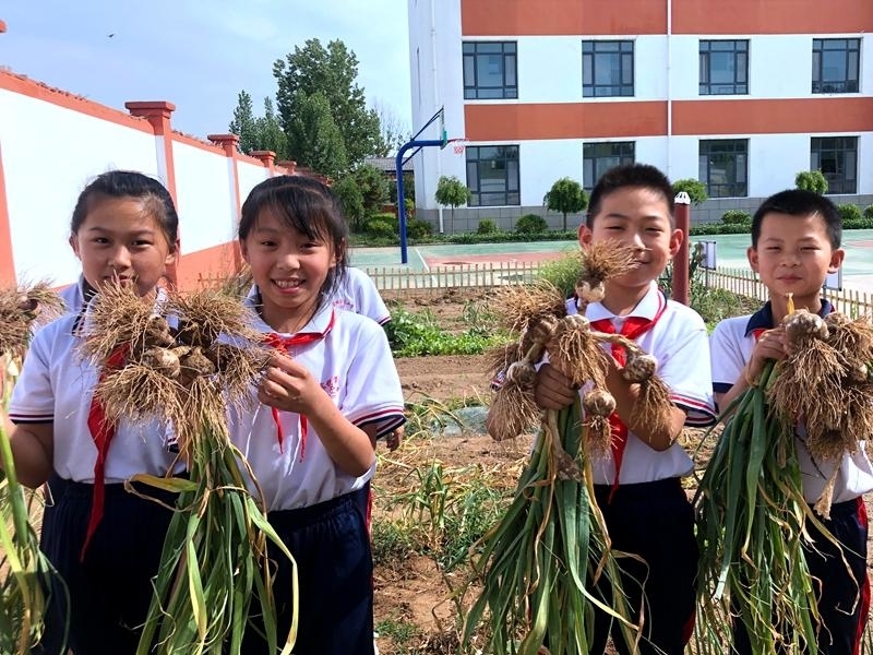 高青县常家学区台李小学：体验劳动甘苦 收获成长快乐