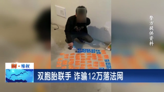 双胞胎联手 诈骗12万落法网