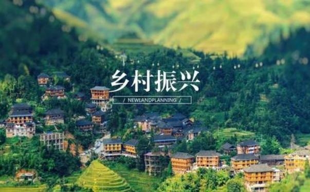 乡村振兴丨沂蒙山区：林木作抵押 空气卖好价