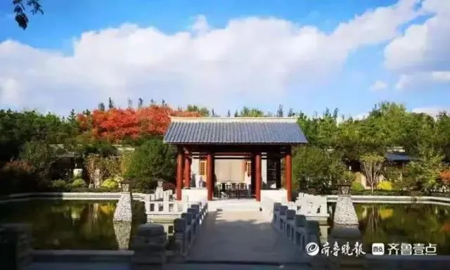 好消息！淄博一山体公园建成，快看看在你家附近吗?