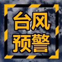 多地预警！台风即将来袭，《爱车帮》温馨提示如何安全行车