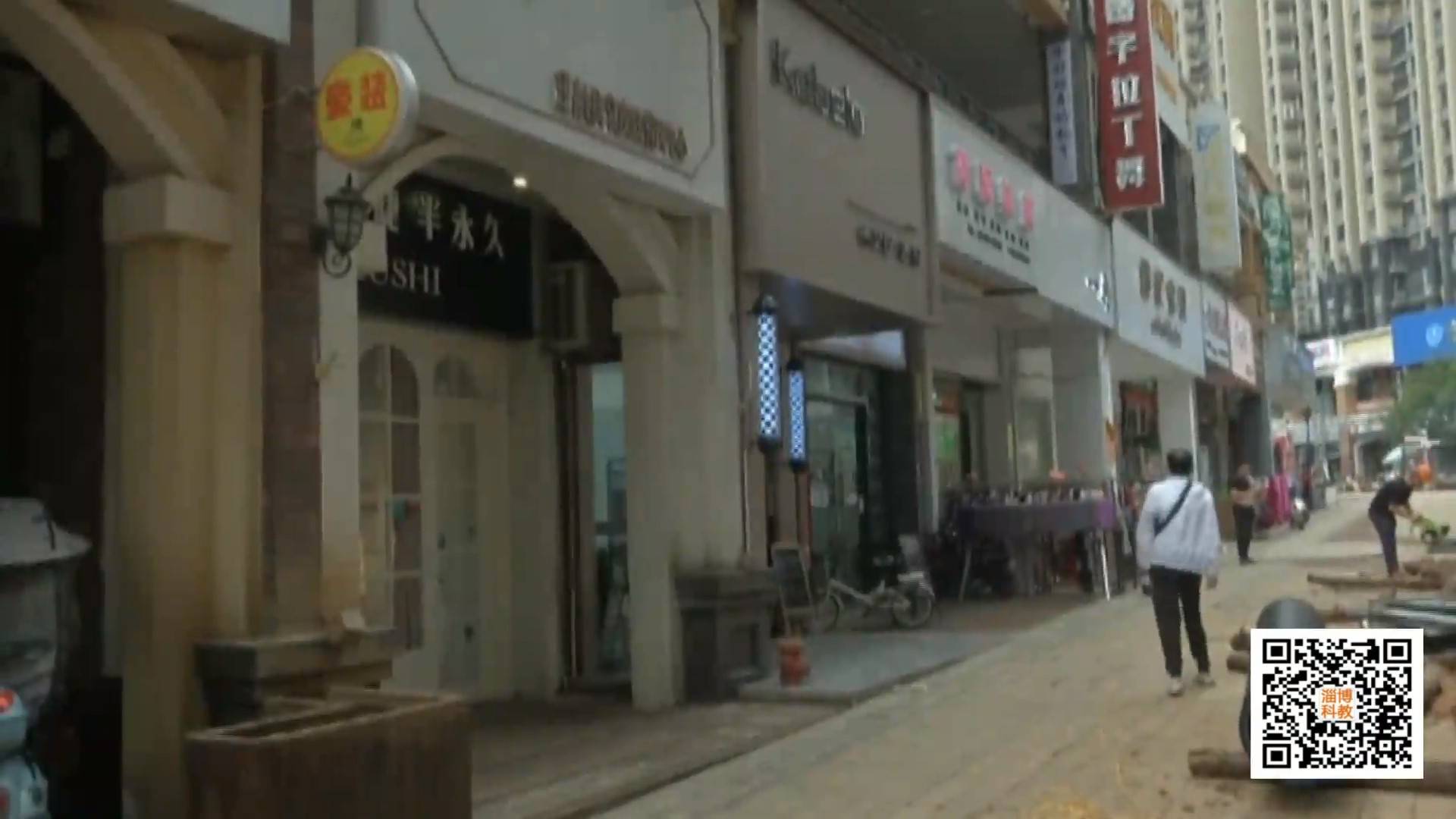 九江：野猪进城 伤人闯店被击毙