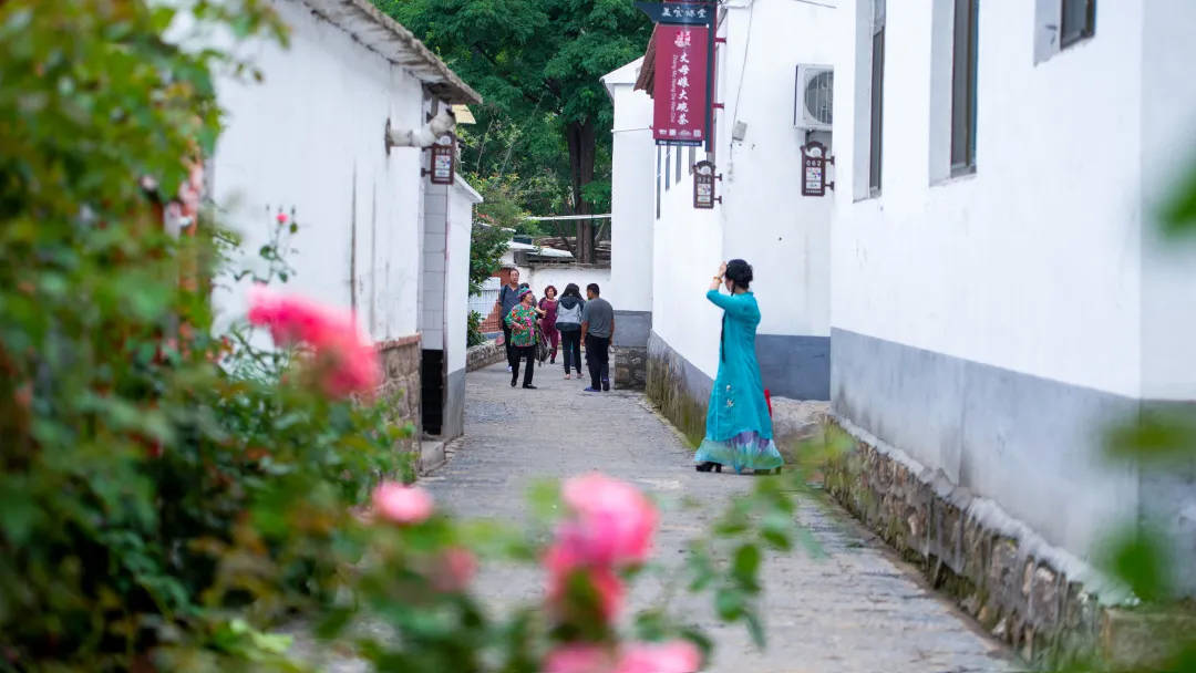 观山色，听鸟鸣，这家“山涧民舍”带你体验向往的生活！